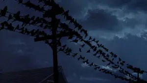 Backdrop to the movie "The Birds" #677209