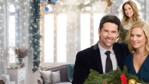 Backdrop to the movie "A Godwink Christmas: Meant For Love" #421808