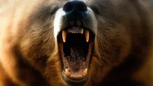 Backdrop to the movie "The Edge" #260045