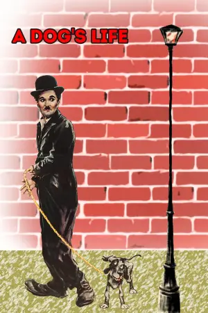 Poster to the movie "A Dog