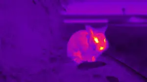 Backdrop to the movie "AGGRO DR1FT" #756180