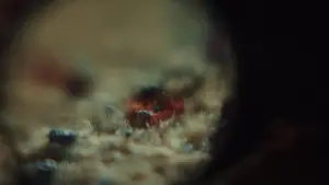 Backdrop to the movie "Knives Out" #561351