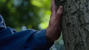 Backdrop to the movie "Perfect Days" #529618