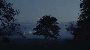 Backdrop to the movie "Sometimes I Think About Dying" #760509