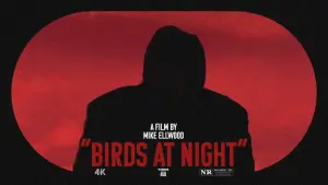 Backdrop to the movie "Birds at Night" #464821