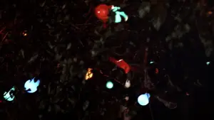 Backdrop to the movie "Dead Again" #791568