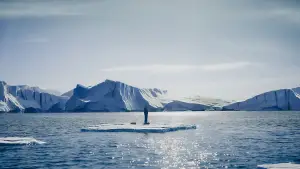 Backdrop to the movie "Ice Skater" #536097