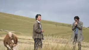 Backdrop to the movie "Tashi" #542549