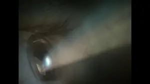 Backdrop to the movie "Muse" #542276