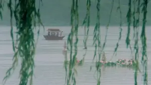 Backdrop to the movie "Green Snake" #903086