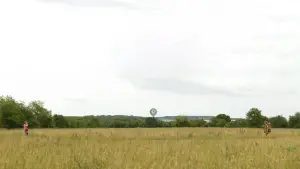 Backdrop to the movie "Moonrise Kingdom" #719522