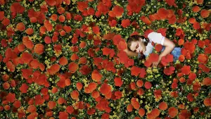 Backdrop to the movie "The Wizard of Oz" #523877