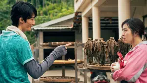 Backdrop to the movie "Salli" #707697