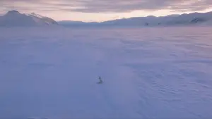 Backdrop to the movie "Kina & Yuk : renards de la banquise" #757759