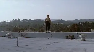 Backdrop to the movie "Magnolia" #670099