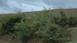 Backdrop to the movie "Where Is My Friend