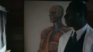 Backdrop to the movie "Knock" #289352