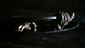 Backdrop to the movie "C.H.U.D." #434086