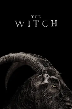 Poster to the movie "The Witch" #66194