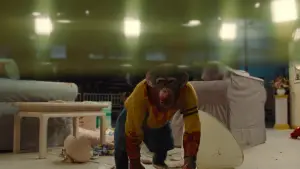 Backdrop to the movie "Nope" #637398