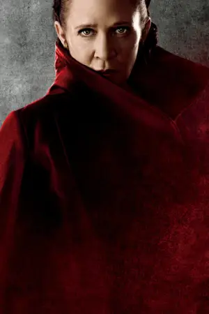 Poster to the movie "Star Wars: The Last Jedi" #831847