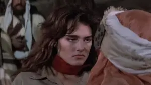 Backdrop to the movie "Sahara" #700756