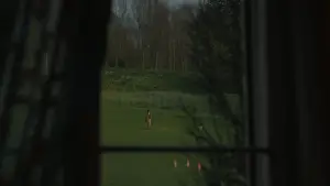 Backdrop to the movie "Emma." #693270