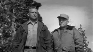 Backdrop to the movie "Nightfall" #406378