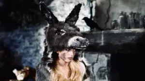 Backdrop to the movie "Donkey Skin" #812077