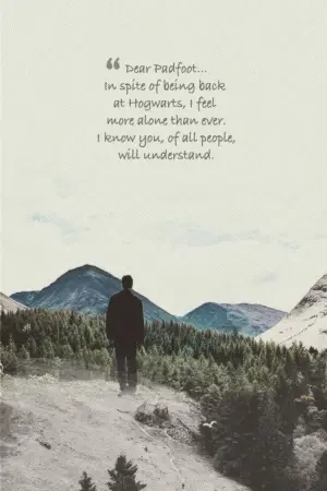 Poster to the movie "Harry Potter and the Goblet of Fire" #829996