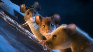 Backdrop to the movie "A Mouse Hunt for Christmas" #556121