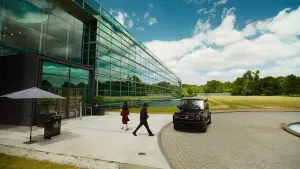 Backdrop to the movie "Bugonia" #511626