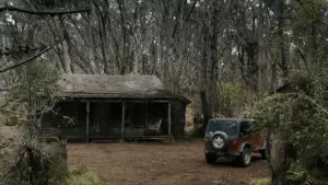 Backdrop to the movie "Evil Dead" #643107