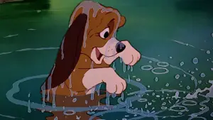 Backdrop to the movie "The Fox and the Hound" #675949