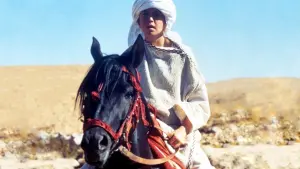 Backdrop to the movie "The Black Stallion Returns" #494743