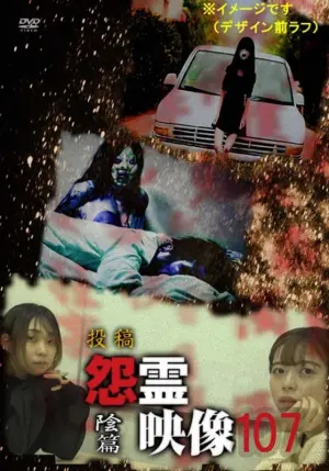 Poster to the movie "Posted Grudge Spirit Footage Vol.107: Shadow Edition" #444235