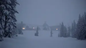 Backdrop to the movie "The Shining" #520193