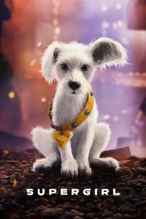 Poster to the movie "Supergirl" #801141