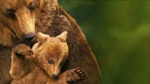 Backdrop to the movie "Bears" #652499