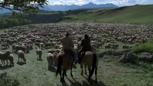 Backdrop to the movie "Brokeback Mountain" #753820