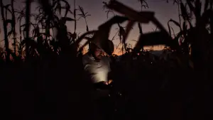 Backdrop to the movie "Jaripeo" #785168