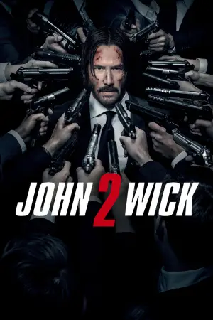 Poster to the movie "John Wick: Chapter 2" #748320