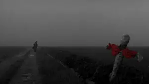 Backdrop to the movie "Memories of Murder" #630461