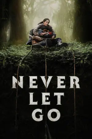 Poster to the movie "Never Let Go" #621333