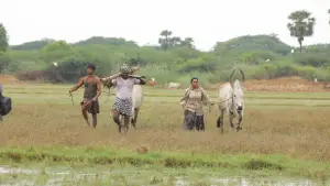 Backdrop to the movie "Bison Kaalamaadan" #786332