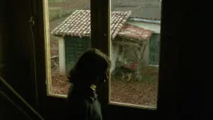 Backdrop to the movie "El Sur" #535720