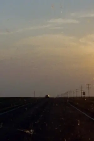 Poster to the movie "História do Amor" #484785