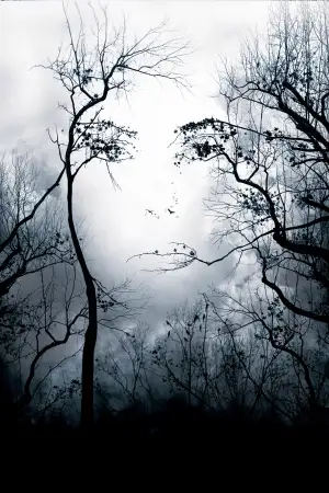 Poster to the movie "Premonition" #879328