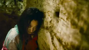 Backdrop to the movie "Ashes of Time" #731530