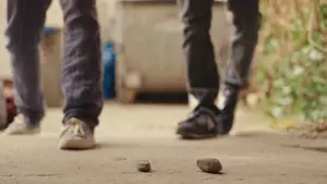 Backdrop to the movie "A Real Pain" #592701